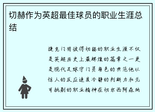 切赫作为英超最佳球员的职业生涯总结